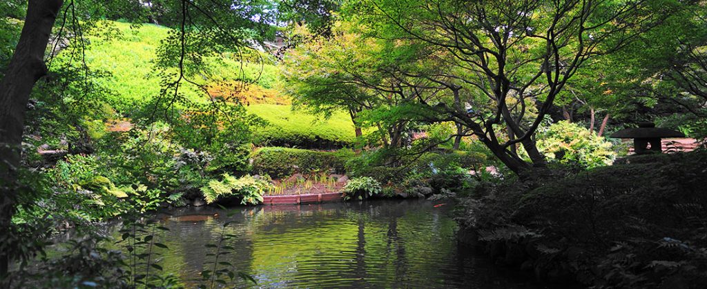 江戸時代から継承される品格ある邸宅地、池田山