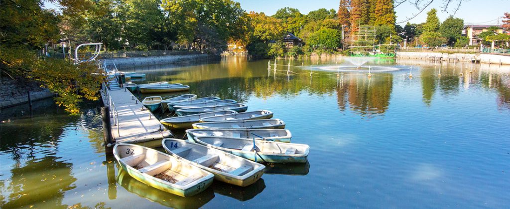 自然と文化が調和した街柿の木坂