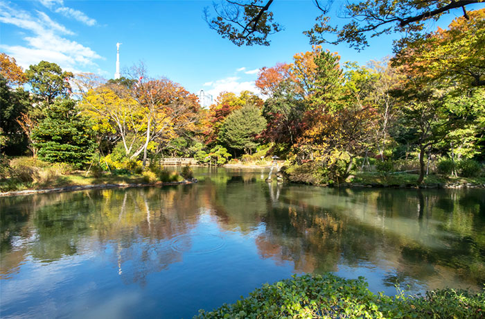 自然と文化が調和した南麻布